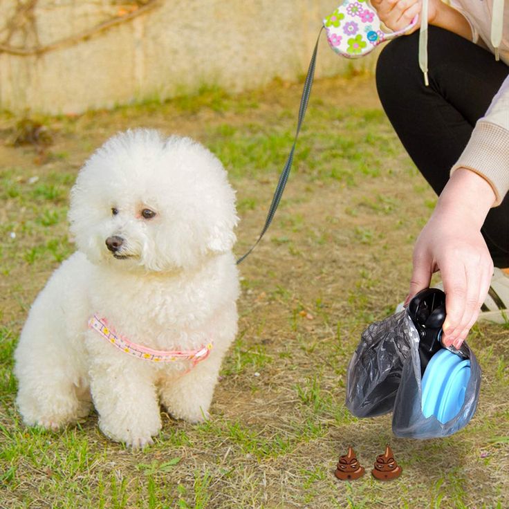 Foldable Dog Poop Bag Dispenser and Scoop – Hygienic Solution for Cleaning Up Pet Waste, Ideal for Walks and Travel